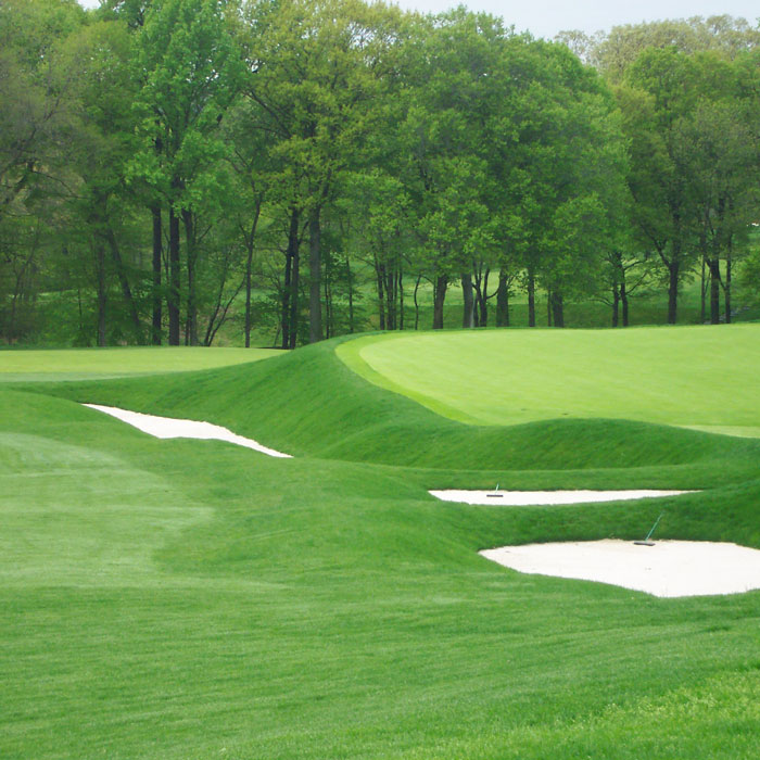 golf course with sand traps