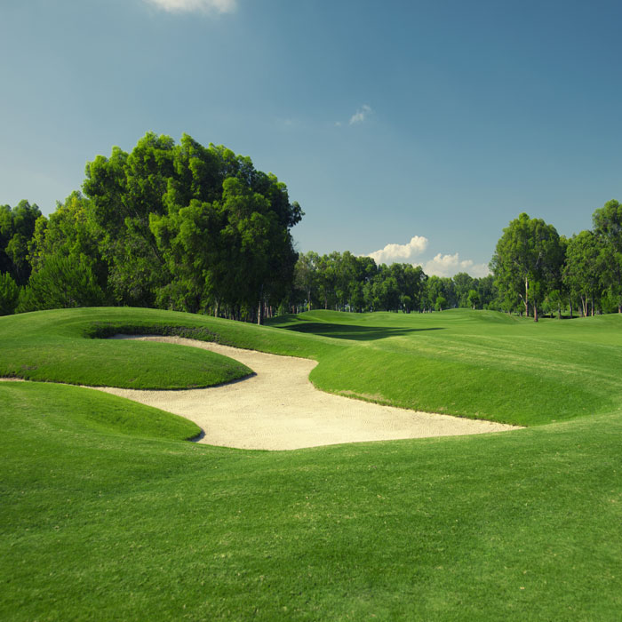 golf course with sand trap