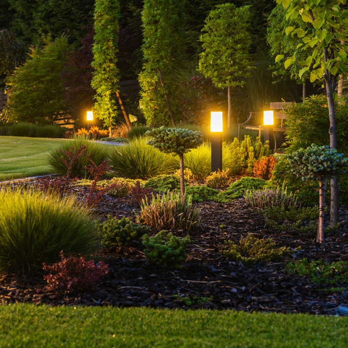 landscaping at night with pathway lights